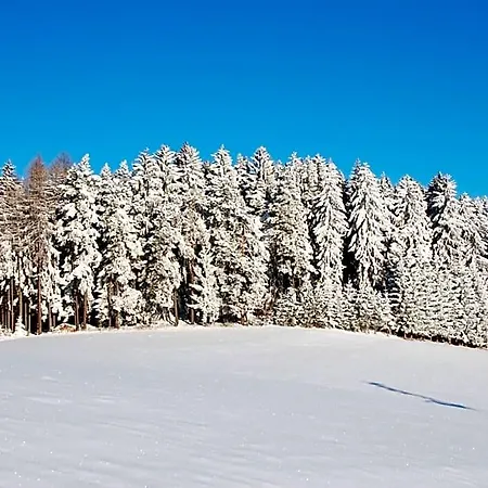 Joglland Prettenhofer 3*