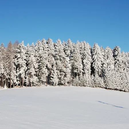 ホテル Joglland Prettenhofer 3*