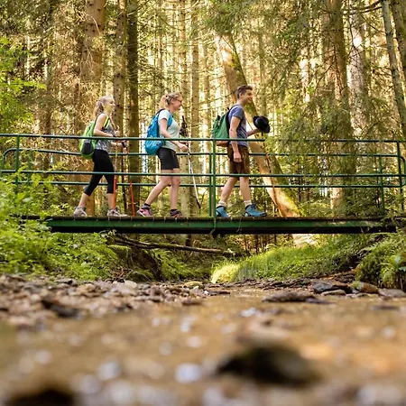 Joglland Prettenhofer 3* Wenigzell