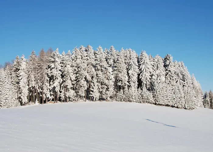 酒店 Joglland Prettenhofer 3*