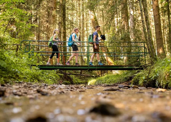 Joglland Prettenhofer 3* Wenigzell